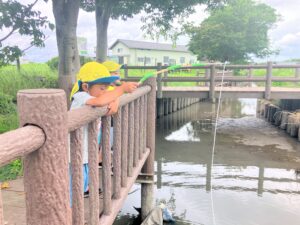 自分で釣って、育てるザリガニ